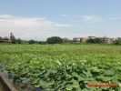 提醒注意 8種與農經不分離土地可免稅「但要申請」
