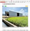 竹北農地連假蓋鐵皮屋 限期自拆