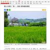 國土計畫法「農一」劃設 苗縣盤點調整